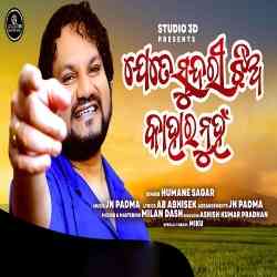 Jete Sundari Jhia Kahara Nuha